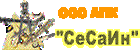 Сесаин, АПК