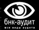 БНК-Аудит