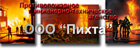 Пихта