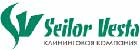 Сейлорвеста
